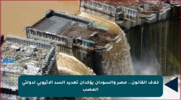 خلاف القانون.. مصر والسودان يؤكدان تهديد السد الإثيوبي لدولتي المصب